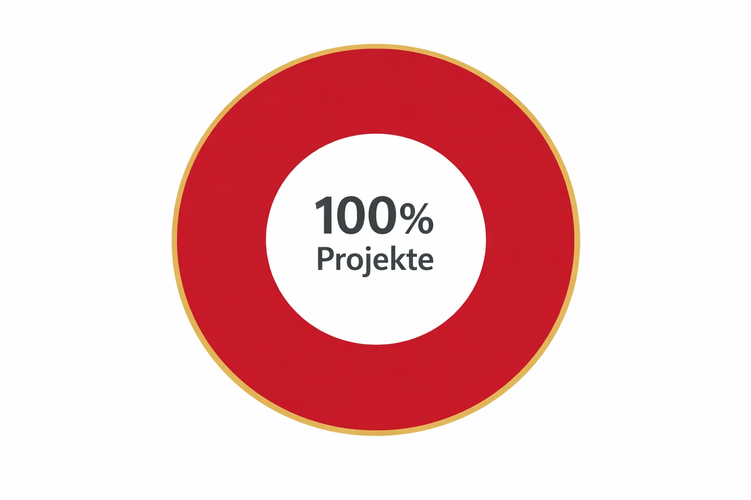 100% Projekte Siegel